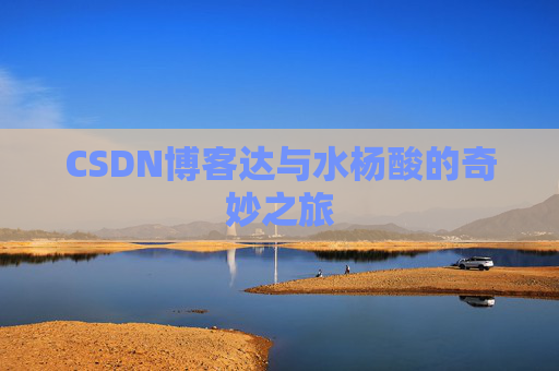 CSDN博客达与水杨酸的奇妙之旅